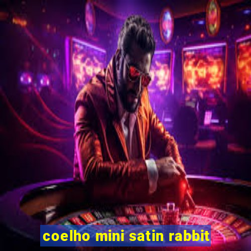 coelho mini satin rabbit